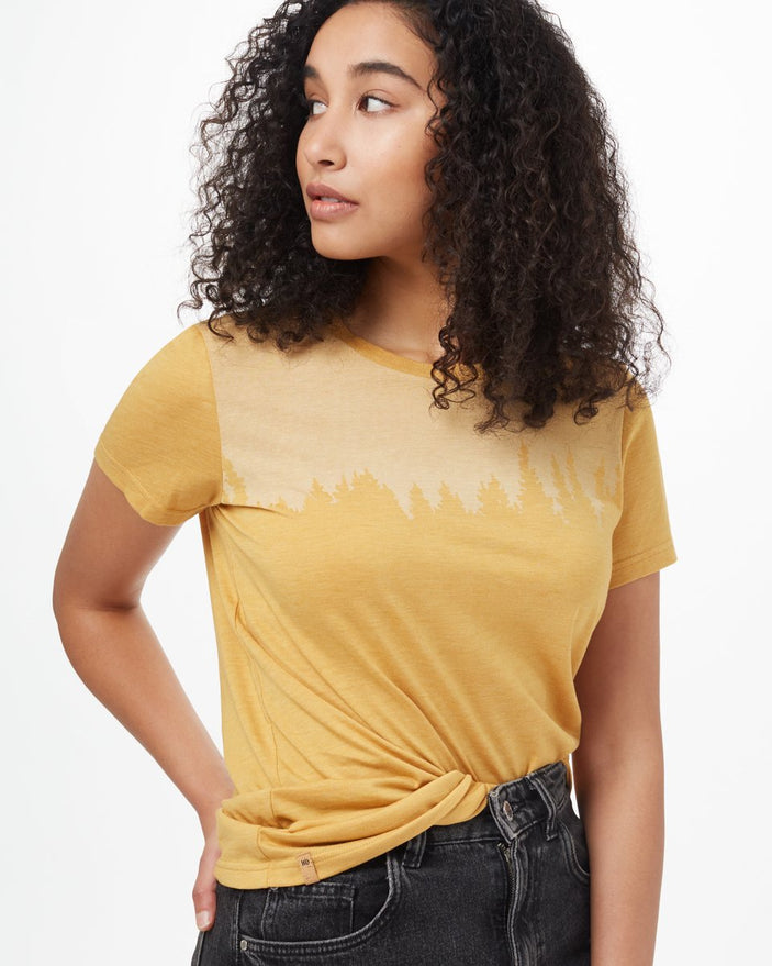 SWEET BIRCH YELLOW HEATHER_gallery